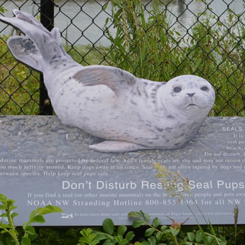 Marine Mammal Stranding Network