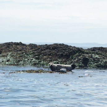 Ocean Literacy Education and Outreach
