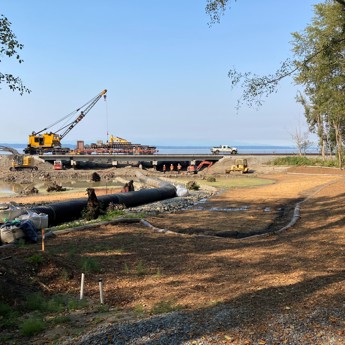 Meadowdale Beach and Estuary Restoration