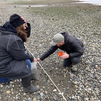 Meadowdale Beach Monitoring